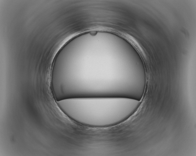 X0000113751244200909230959