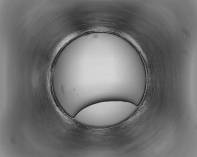 X0000113751245200909230959