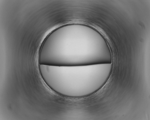 X0000113751246200909230959