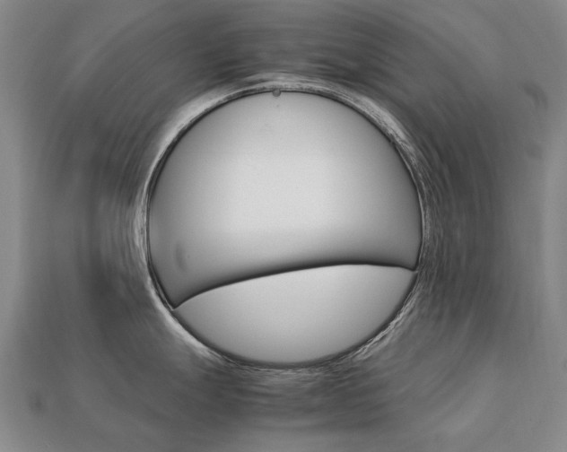 X0000113751247200909230959
