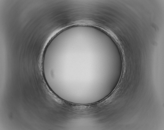X0000113751248200909230959