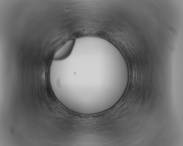 X0000113751250200909230959