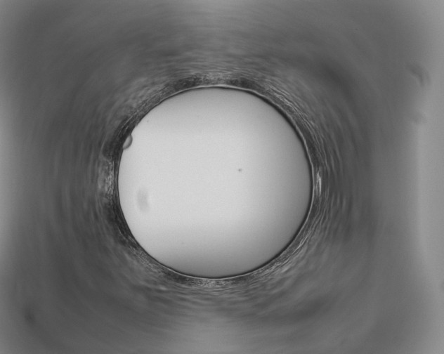X0000113751251200909230959