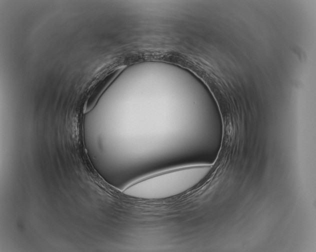 X0000113751252200909230959