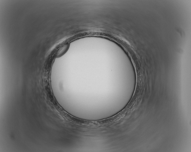 X0000113751255200909230958