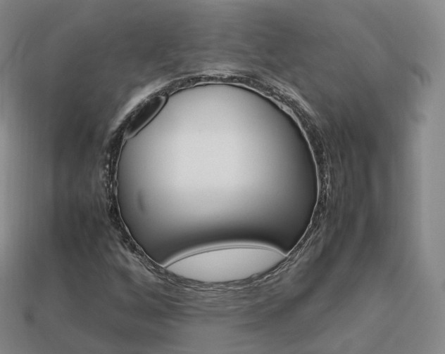 X0000113751256200909230958