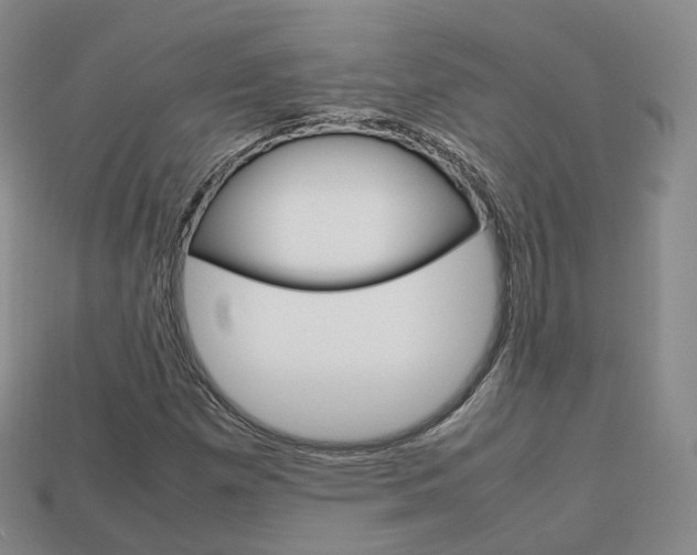 X0000113751257200909230958