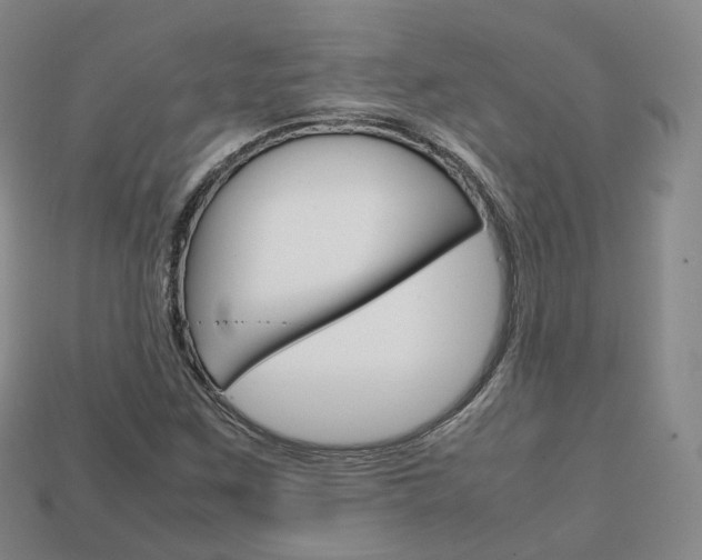 X0000113751259200909230958