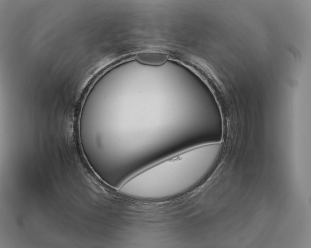 X0000113751260200909230958