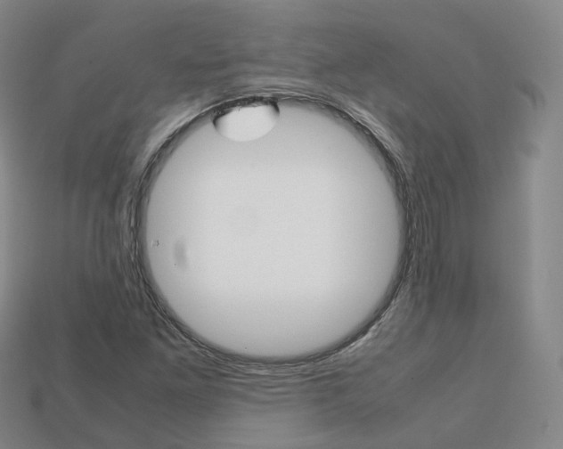 X0000113751261200909230958