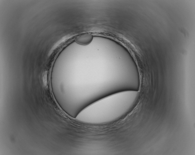X0000113751262200909230958