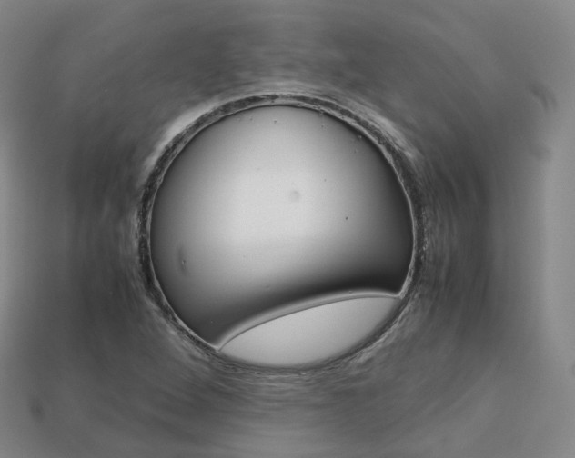 X0000113751264200909230958