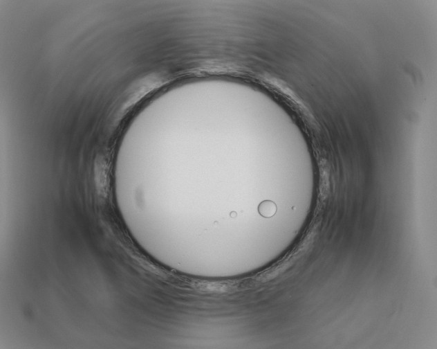 X0000113751266200909230958