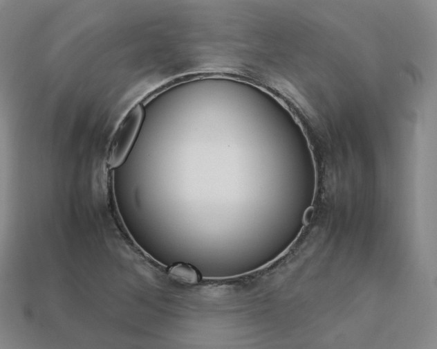 X0000113751268200909230958