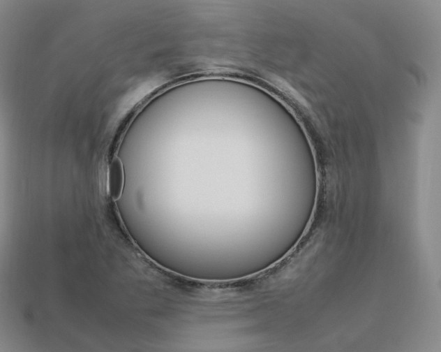 X0000113751269200909230958