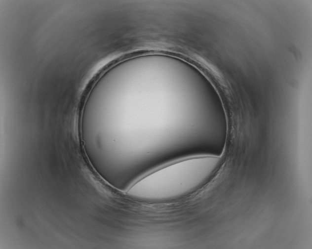 X0000113751272200909230958