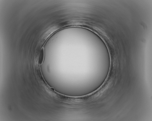 X0000113751273200909230958