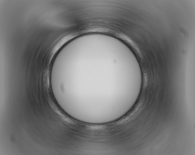 X0000113751274200909230958