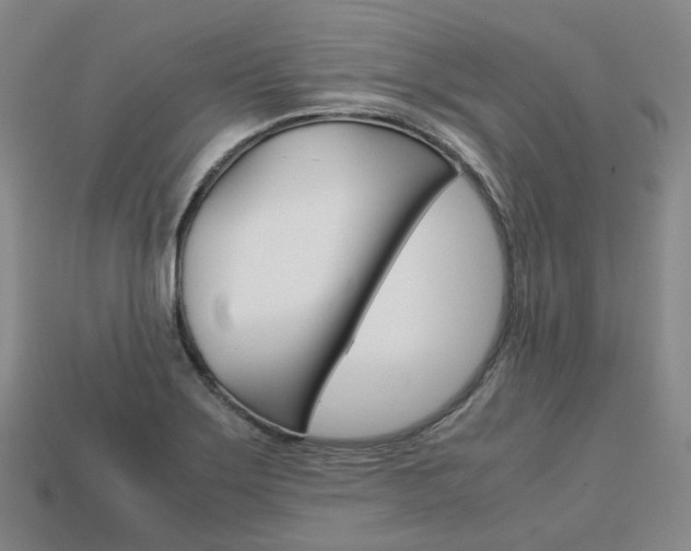 X0000113751275200909230958