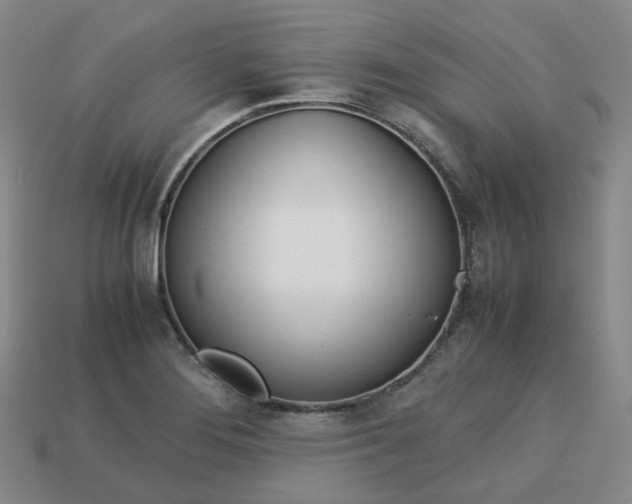 X0000113751276200909230958