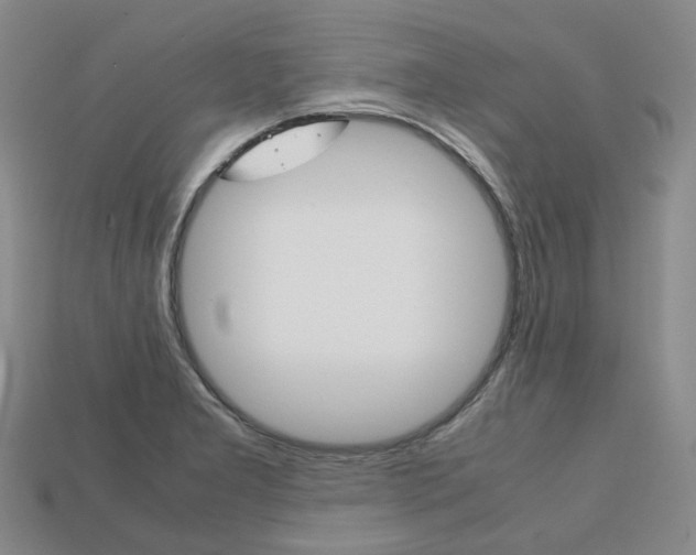X0000113751277200909230958