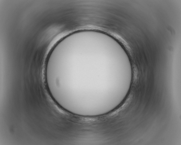 X0000113751278200909230958