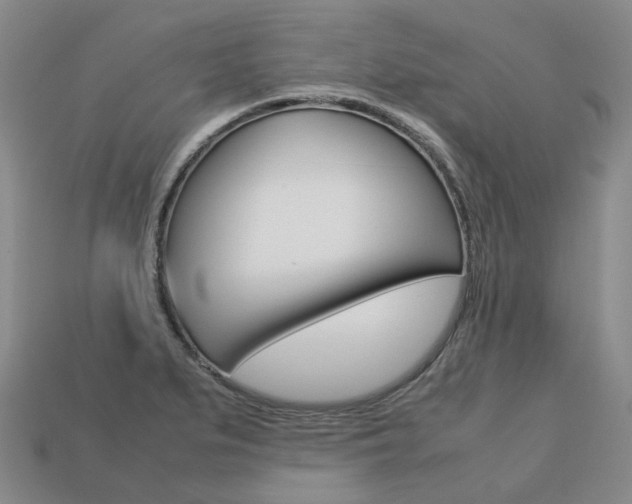 X0000113751279200909230958