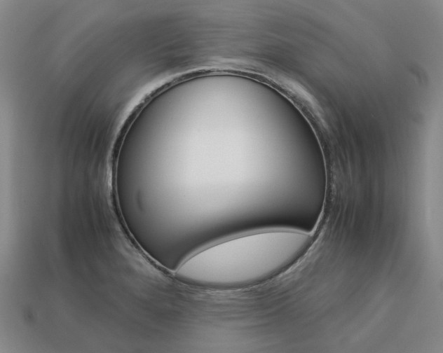 X0000113751280200909230958
