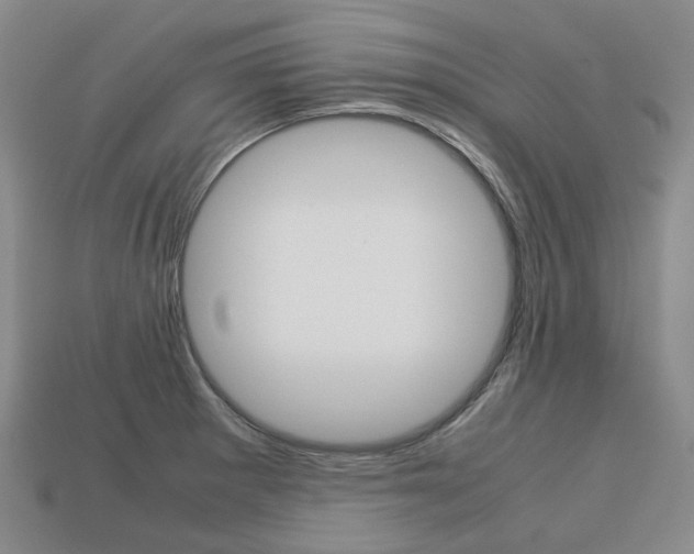 X0000113751281200909230958