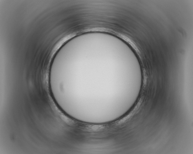 X0000113751282200909230958