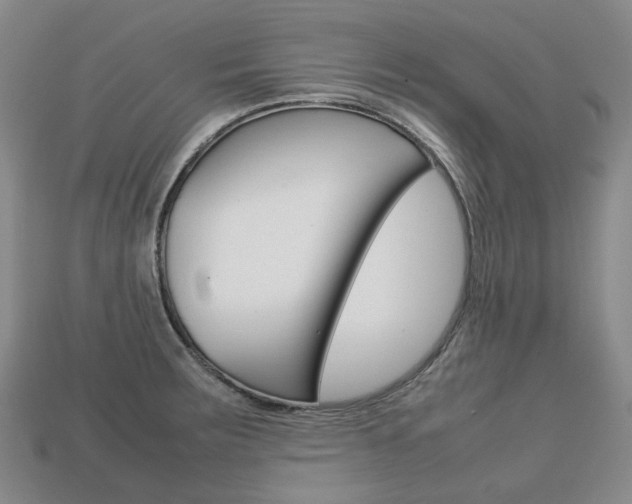 X0000113751283200909230958