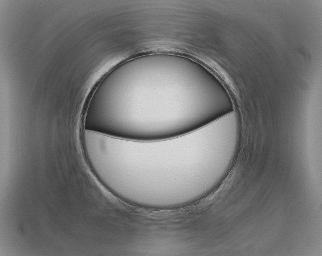 X0000113751285200909230958