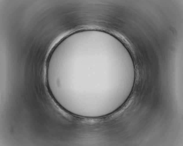 X0000113751286200909230958