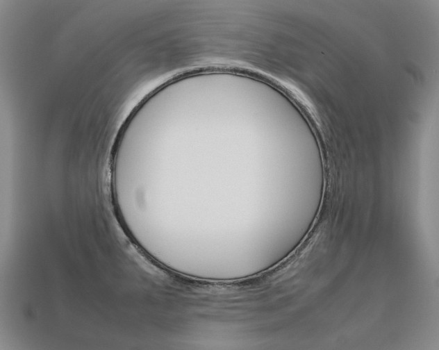 X0000113751287200909230958