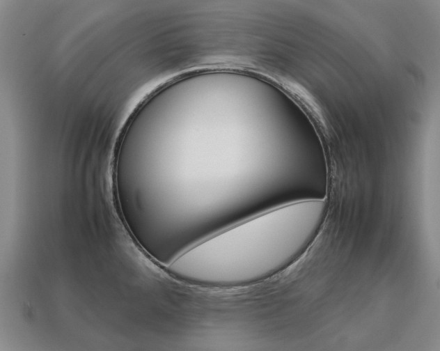 X0000113751288200909230958