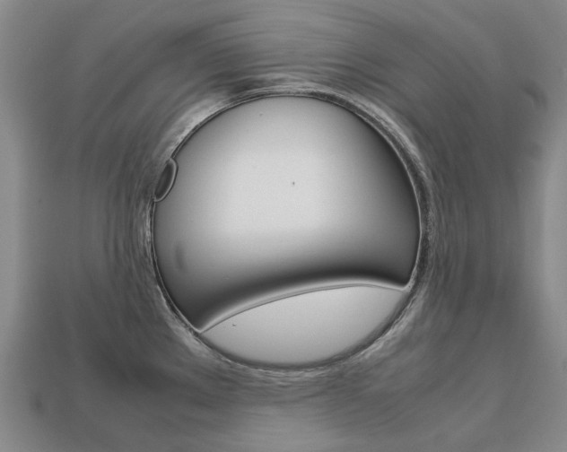 X0000113751289200909230958