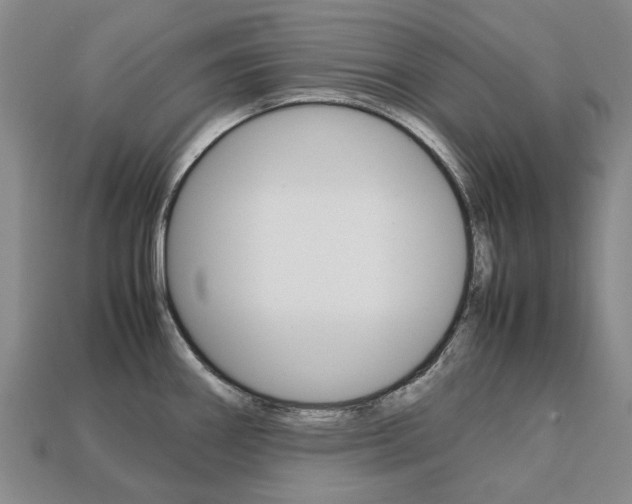 X0000113751290200909230958