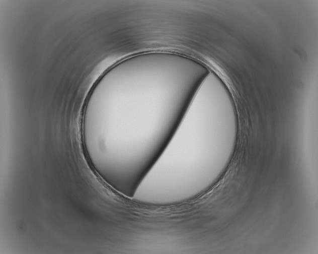 X0000113751291200909230958