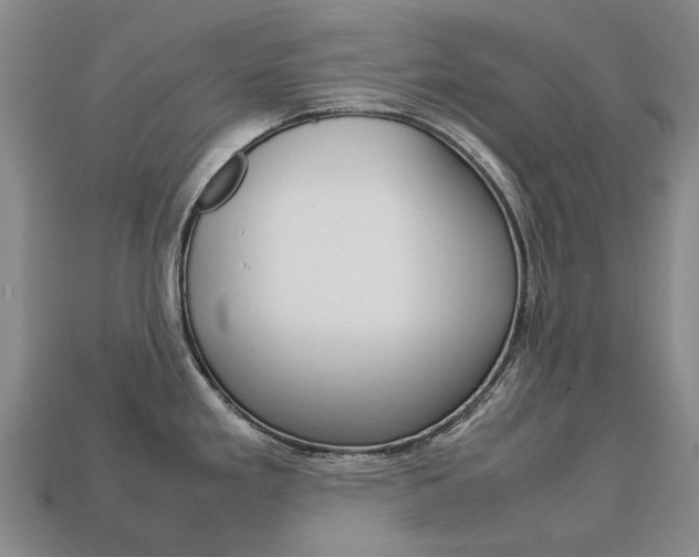 X0000113751293200909230958