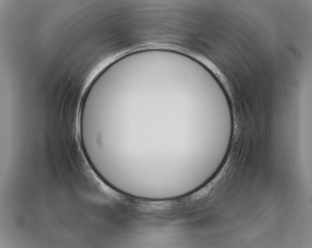 X0000113751294200909230958