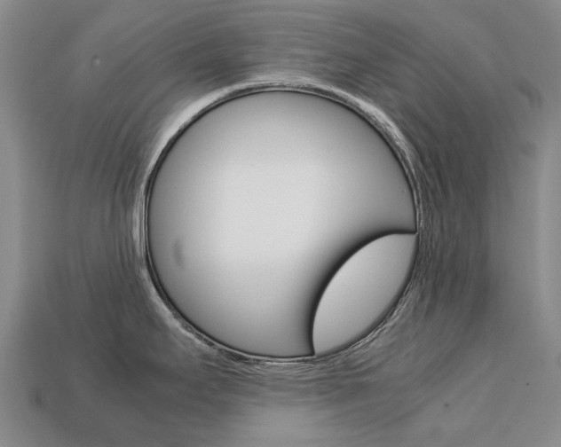 X0000113751295200909230958