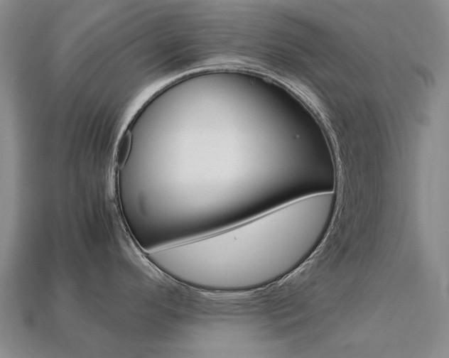 X0000113751296200909230958