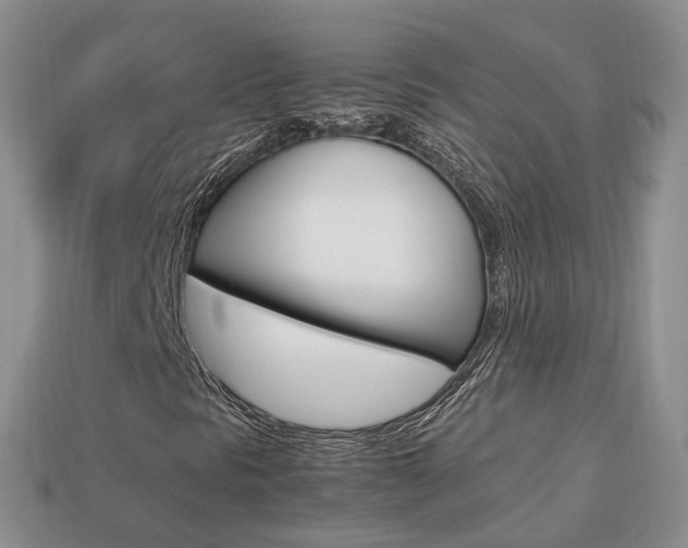 X0000113751297200909230957