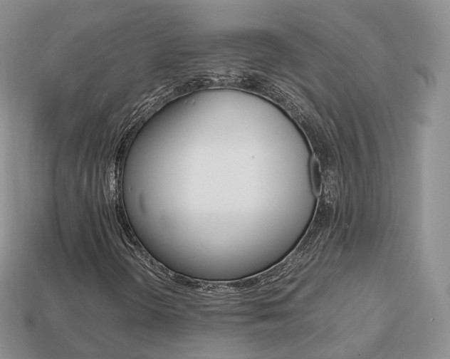 X0000113751298200909230957