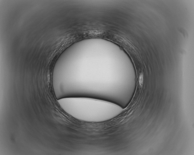 X0000113751299200909230957