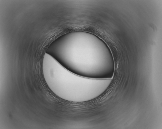 X0000113751300200909230957