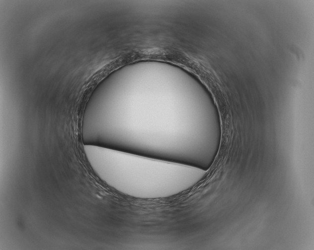 X0000113751301200909230957