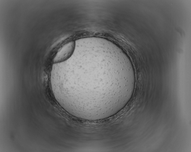 X0000113751302200909230957