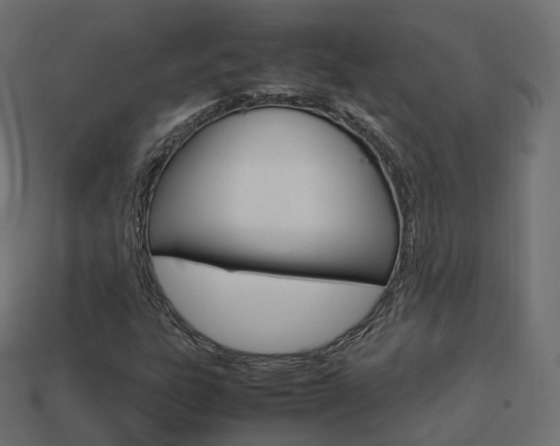 X0000113751303200909230957