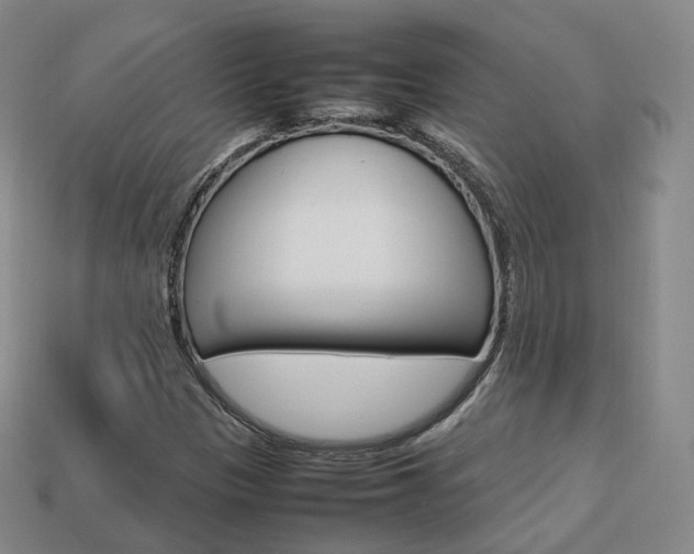X0000113751305200909230957
